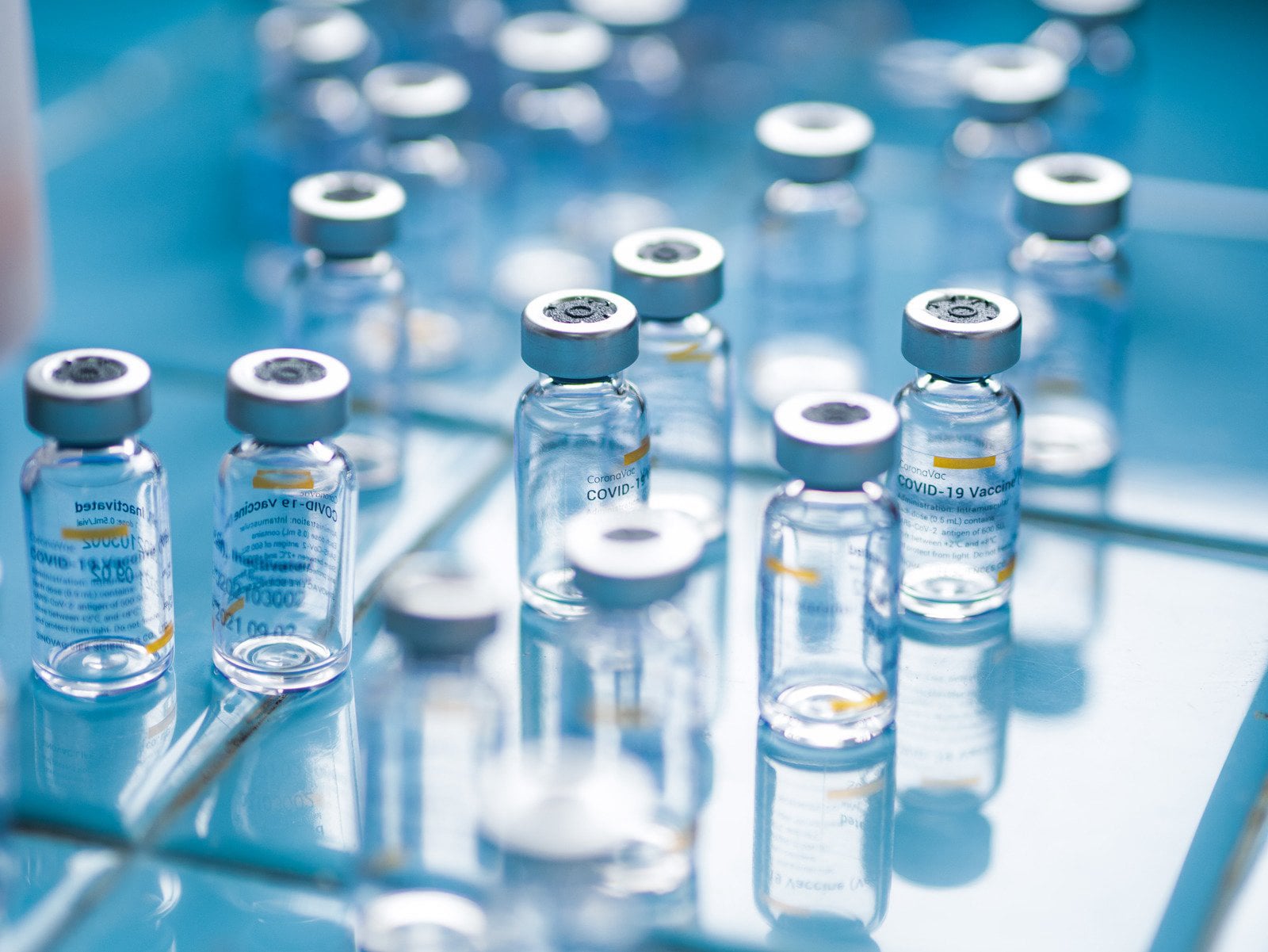 distribution-network-glovax-lifescience